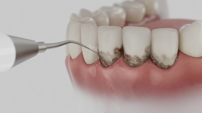 Reliable Dental contractor in Euclid, OH by Dentist Open Now